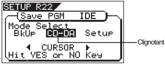 SETUP R22 Save PGM IDE Mode Select BkUp CO-0H Setup CURSOR Hit YES or NO Key Clignotant