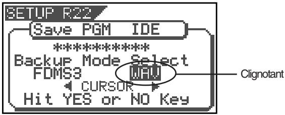 SETUP R22 Save PGM IDE ********** Backup Mode Select FDMS3 CURSOR WAV Hit YES or NO Key Clignotant