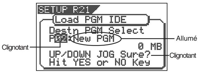 SETUP R21 Load PGM IDE Destn PGM Select PGM New PGM 0 MB UP/DOWN JOG Sure? Hit YES or NO Key Clignotant Allumé Clignotant