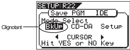 SETUP R22 Save PGM IDE Mode Select BKUP CD-DA Setup CURSOR Hit YES or NO Key Clignotant