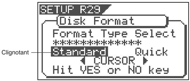 SETUP R29 Disk Format Format Type Select ********** Standard Quick CURSOR Hit YES or NO key Clignotant