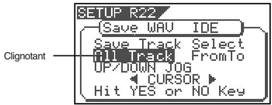 SETUP R22 (Save WAV IDE) Save Track Select Fill Track FromTo UP/DOWN JOG CURSOR Hit YES or NO Key Clignotant