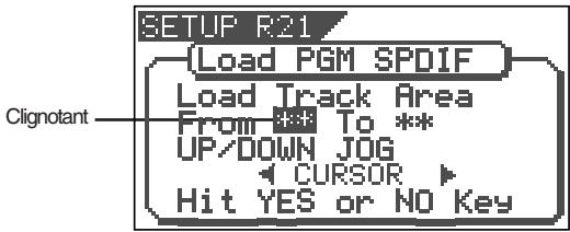 SETUP R21 Load PGM SPDIF Load Track Area From To ** UP/DOWN JOG CURSOR Hit YES or NO Key Clignotant