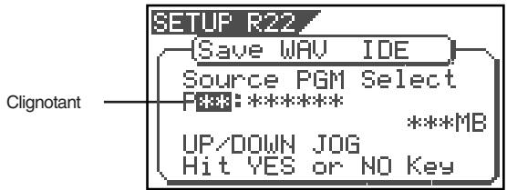 SETUP R22 Save WAV IDE Source PGM Select P***:***** UP/DOWN JOG Hit YES or NO Key Clignotant