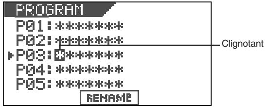 PROGRAM P01:***** P02:***** ▶P03:***** P04:***** P05:***** RENAME Clignotant