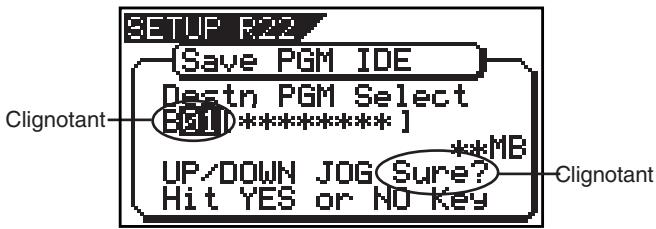 SETUP R22 [Save PGM IDE] Destn PGM Select [01]********* ] UP/DOWN JOG Sure? Hit YES or NO Key **MB Clignotant