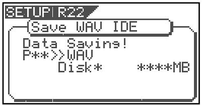 SETUPI R22 {Save WAV IDE Data Savins! P**>>WAV Disk* ****MB