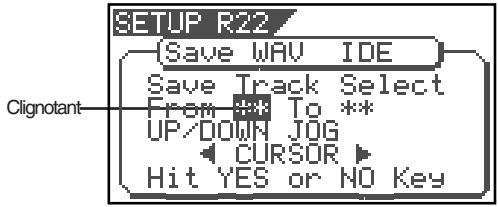 SETUP R22 Save WAY IDE Save Track Select From *** To ** UP/DOWN .JOG CURSOR Hit YES or NO Key Clignotant