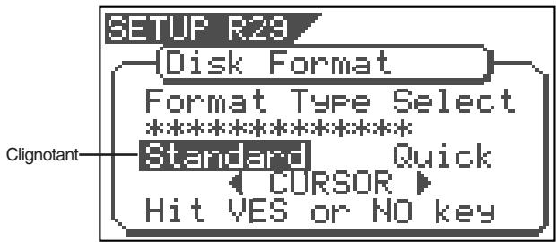 SETUP R29 Disk Format Format Type Select ********** Standard Quick CURSOR Hit YES or NO key Clignotant