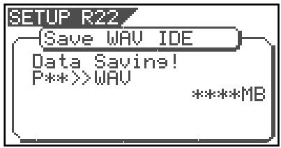 SETUP R22 {Save WAV IDE Data Savings! P**>>WAV *****MB