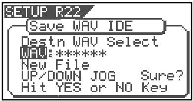 SETUP R22 (Save WAV IDE) Destn WAV Select WAV:***** New File UP/DOWN JOG Sure? Hit YES or NO Key