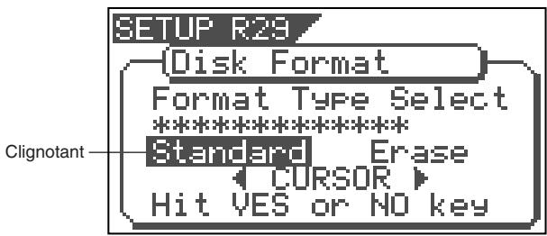 SETUP R29 Disk Format Format Type Select ********** Standard Erase CURSOR Hit YES or NO key Clignotant