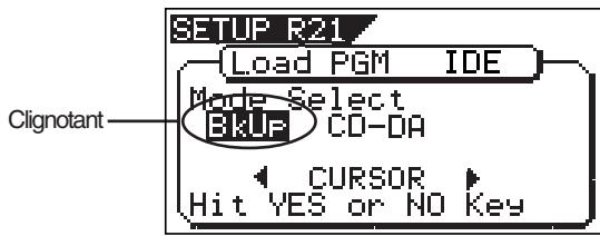 SETUP R21 Load PGM IDE Mode Select BkUF CD-DA Clignotant CURSOR Hit YES or NO Key
