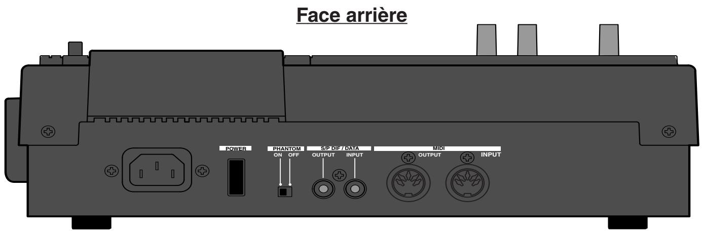 Face arrière POWER PHANTOM S/P DIF / DATA MIDI ON OFF OUTPUT INPUT OUTPUT INPUT
