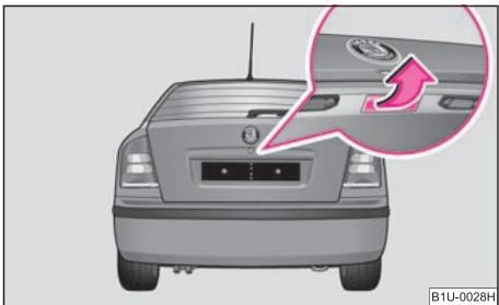 SKODA OCTAVIA TOUR - Capot demalle AR - 1