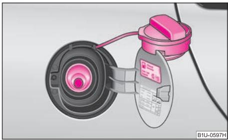 SKODA OCTAVIA TOUR - Ravitation - 2