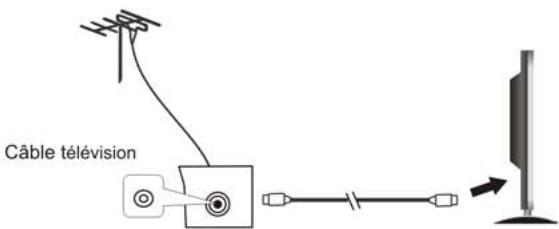 NESX NE-2311 - Installation de l'antenne - 1