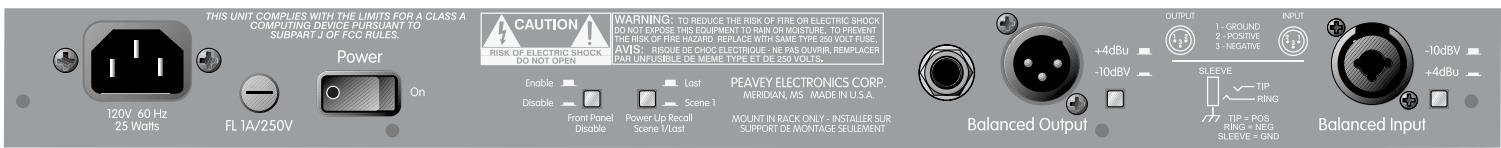 PEAVEY FEEDBACK FERRET - Rückseite des Ferret - 1