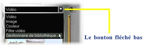 ULEAD VIDEOSTUDIO 5 - Utiliser le gestionnaire de bibliothèque : - 1