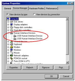 GENIUS WIRELESS POINTER - Comment utiliser la télécommande: - 2