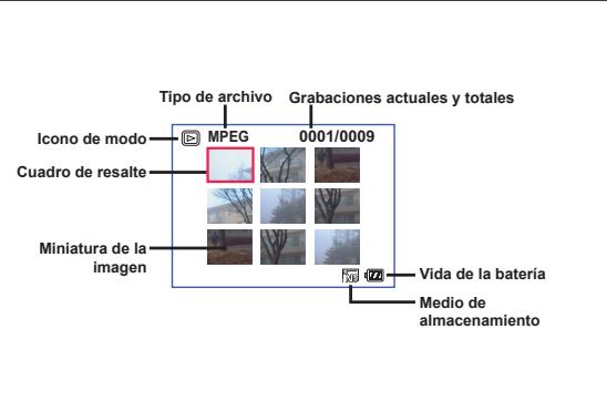 AIPTEK POCKET DV 6800 LE - Leer losindicadores LCD - 4