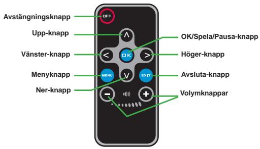 AIPTEK V10 - Fjärrkontroll - 1