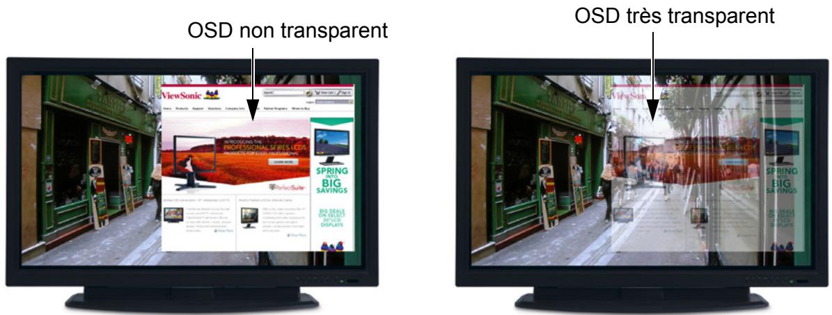 VIEWSONIC NMP-500 - TRANSPARENCE - 2
