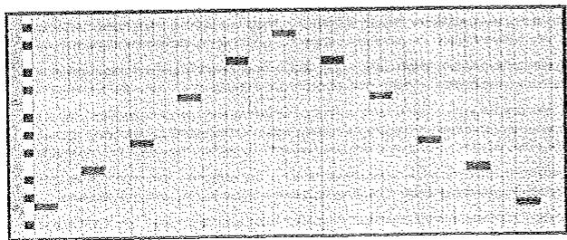 AKAI PRO MPK88 - =DHNONDEARBEGIAEUR - 6