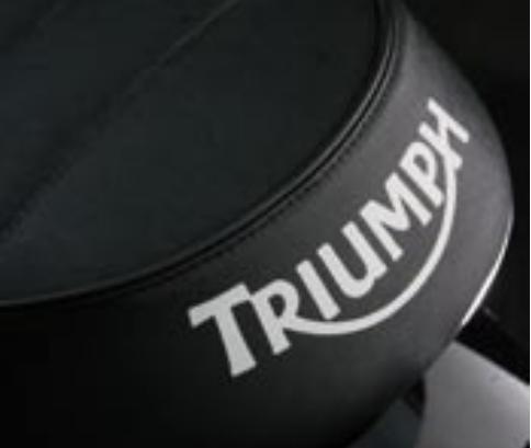 TRIUMPH SCRAMBLER - 6