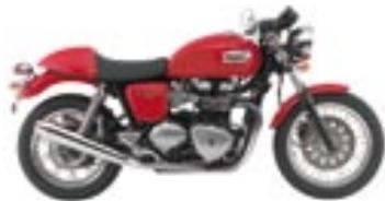TRIUMPH SCRAMBLER - BONNEVILLE T100 - 24