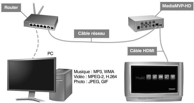 HAUPPAGE MEDIA MVP-HD - Généralité sur le MediaMVP-HD - 1