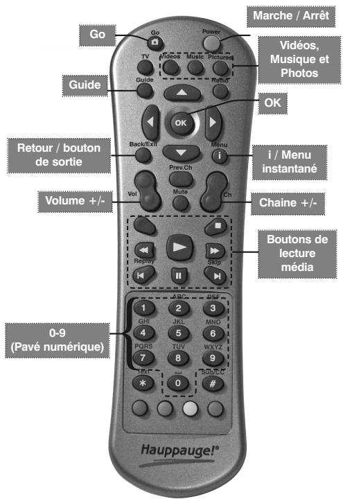 HAUPPAGE MEDIA MVP-HD - La télécommande - 1
