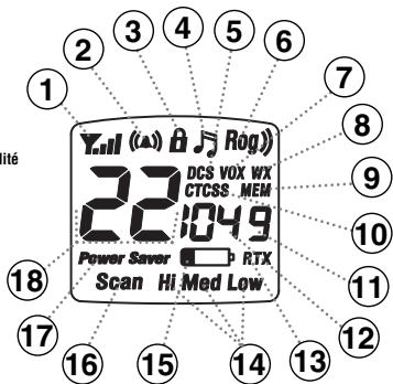 COBRA CXR800C - Ecran à cristaux liquides rétro-éclairé - 1