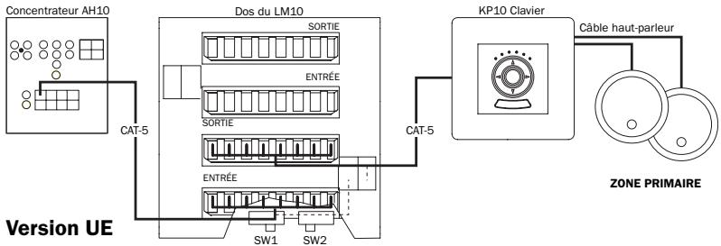 CAMBRIDGE AUDIO INCOGNITO LM10 - Connexions CAT-5 - 1