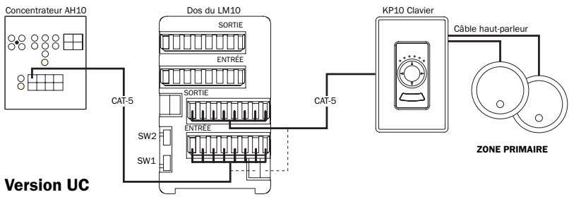 CAMBRIDGE AUDIO INCOGNITO LM10 - Connexions CAT-5 - 2
