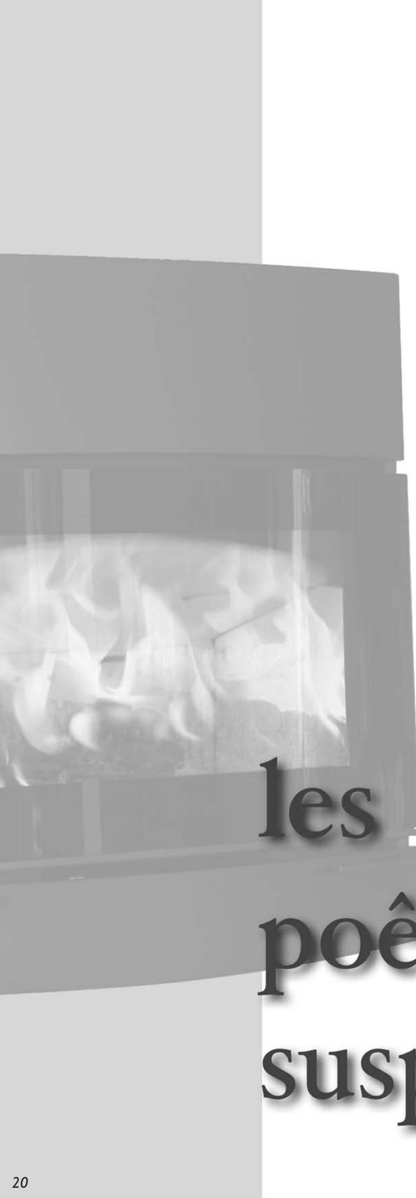 SEGUIN HWAM 3650 - Habillage céramique - 13