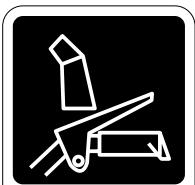 POULAN PRO 961980019 - DANGER - 1