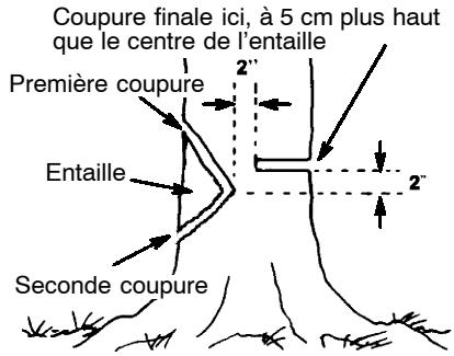 POULAN 330 - COMMENT FAIRE L'ENTAILLE ET ABATTRE L'ARBRE - 1