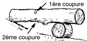 POULAN 2375 - COMMENT TRONCONNAGE UTILISANT UN RONDIN OU UN CHEVALET - 2