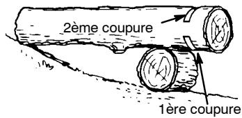 POULAN 2375 - COMMENT TRONCONNAGE UTILISANT UN RONDIN OU UN CHEVALET - 1