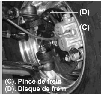 GAS GAS QUAD WILD HP 300 RV - Vérification des plaquettes de FREIN avant et arrêté - 2
