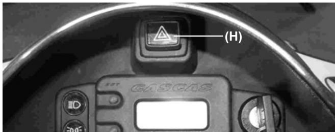 GAS GAS QUAD WILD HP 300 RV - Remarque - 1