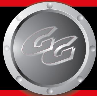 GAS GAS QUAD WILD HP 300 RV - Divers - 1