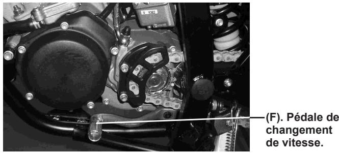 GAS GAS EC HALLEY - PÉDALE DE CHANGEMENT DE VITESSE - 1