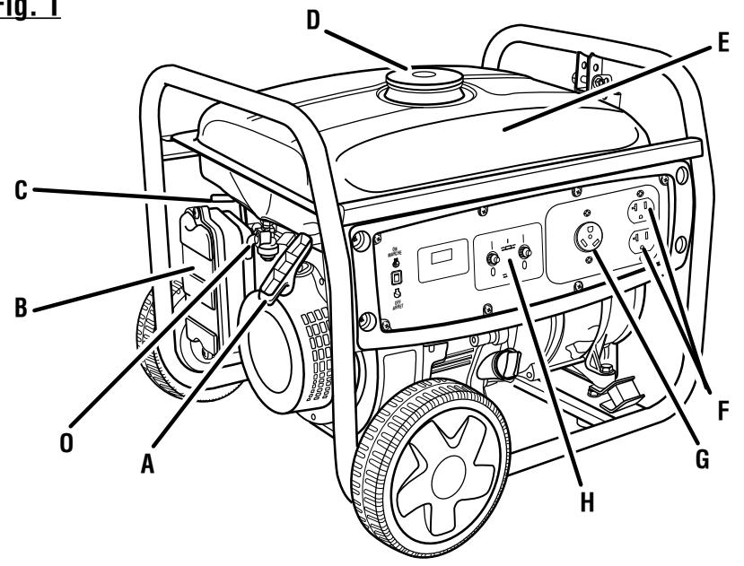 HOMELITE HGCA3000 - 2