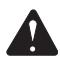 HOMELITE HL80220 - WARNING: - 1