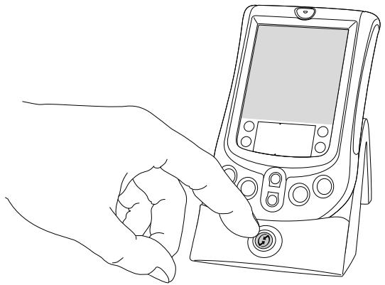 PALM M130 - Utilisation du logiciel palm desktop - 1