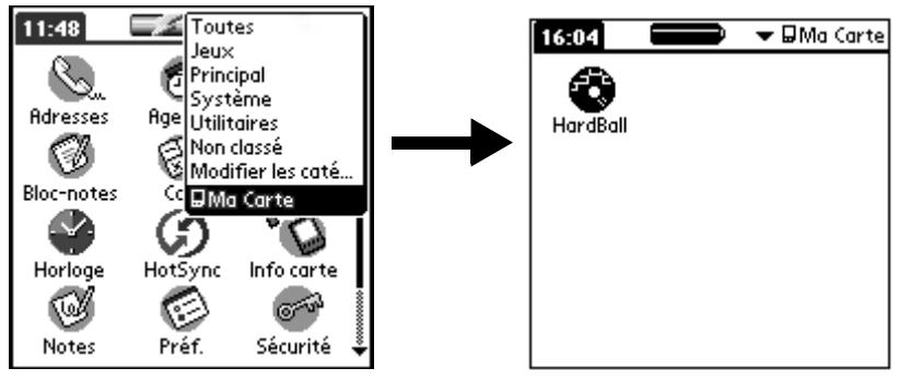 PALM M130 - Pour basculer vers une carte d'extension : - 1