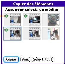 PALM CENTRO - Copie d'une photo ou d'une vidéo - 1