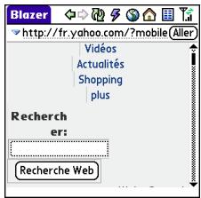 PALM CENTRO - Affichage d'une page web - 1